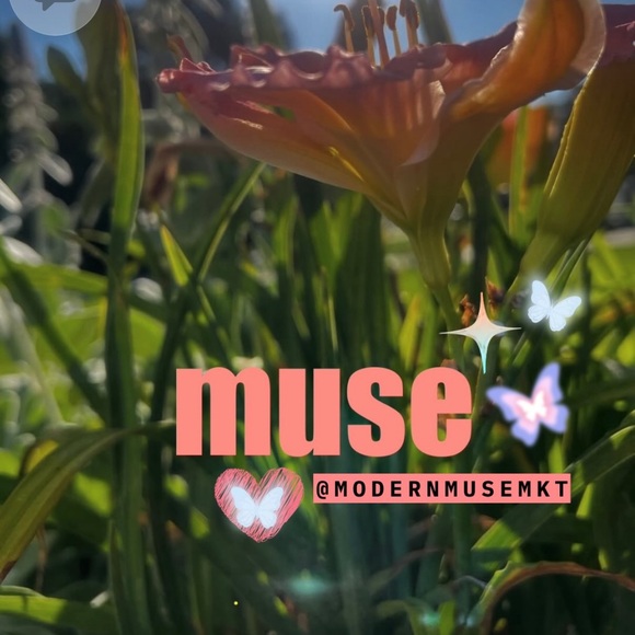 modernmu